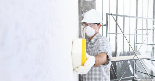 Best Post-Construction Mold Inspection in Marlboro Village, MD